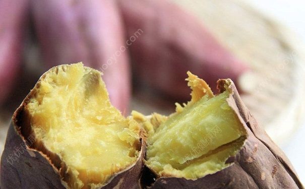 吃烤紅薯可以減肥嗎？不吃飯可以吃烤紅薯嗎？(3)