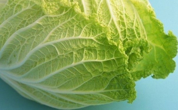 大白菜的熱量是多少？大白菜的熱量高不高？(1)