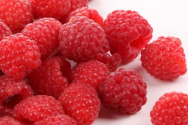 桑葚和樹莓的區(qū)別是什么？桑葚和樹莓的區(qū)別有哪些？(4)