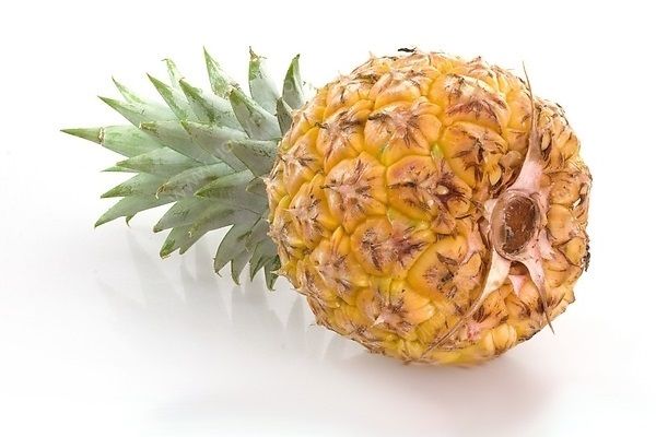 菠蘿發(fā)黑能吃嗎？菠蘿發(fā)黑吃了會怎么樣？(4)