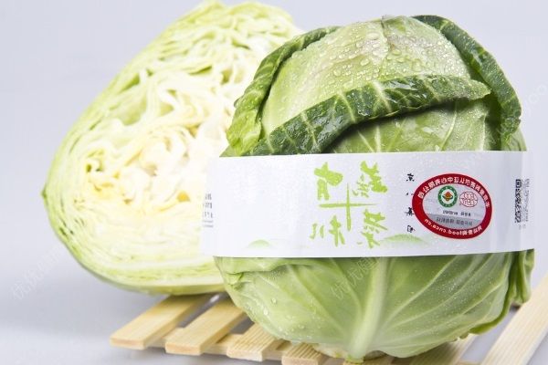 包菜能放冰箱嗎？包菜放冰箱能放多久？(3)