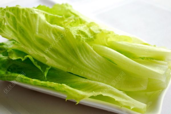 生菜是涼性的嗎？生菜是酸性還是堿性？(1)