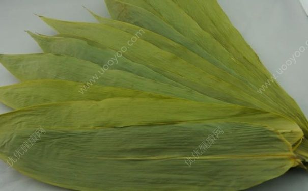 粽葉是什么植物的葉子？粽子用什么葉子包好？(5)