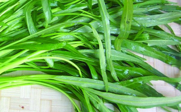 空心菜葉子可以吃嗎？空心菜葉子能吃嗎？(1)