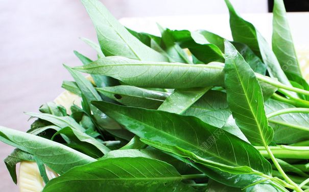 空心菜葉子可以吃嗎？空心菜葉子能吃嗎？(3)