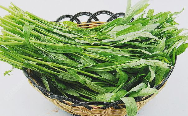 空心菜是什么菜？空心菜怎么炒好吃？(2)