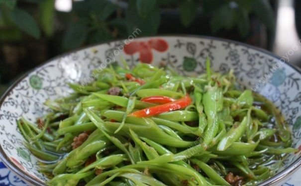 空心菜是什么菜？空心菜怎么炒好吃？(4)