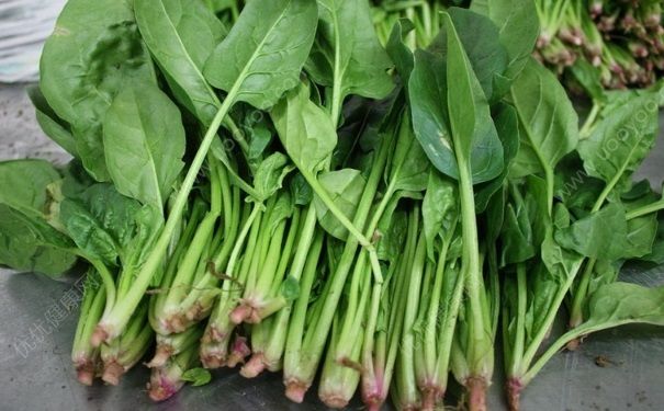 空心菜是菠菜嗎？空心菜是不是菠菜？(3)