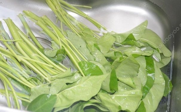 藤藤菜是什么菜？藤藤菜有毒嗎？(4)