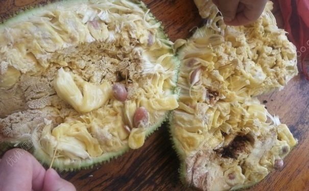 菠蘿蜜為什么不甜？菠蘿蜜不甜怎么辦？(1)