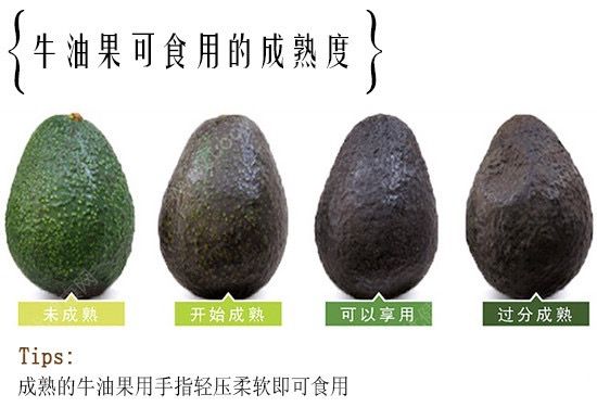 牛油果怎么挑選熟的？牛油果的挑選方法(2)