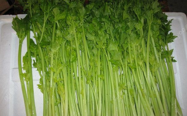 芹菜是那個季節(jié)的？芹菜哪個季節(jié)吃最好？(2)