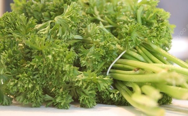 芹菜是那個季節(jié)的？芹菜哪個季節(jié)吃最好？(3)