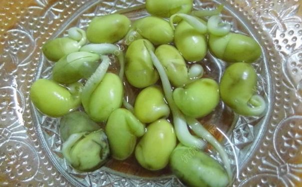 黃豆變綠了還能吃嗎？黃豆變綠能打豆?jié){嗎？(4)
