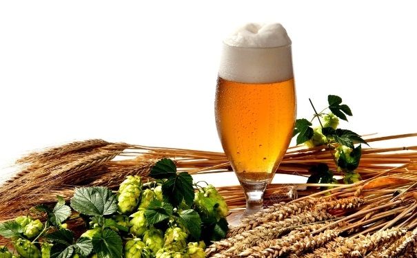 喝啤酒吃什么菜最好？喝啤酒吃什么下酒菜好？(1)