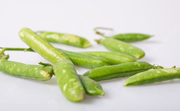豌豆是黃豆嗎？豌豆和黃豆是一樣的嗎？(1)