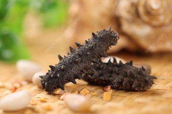 海參怎么發(fā)最好？吃海參的技巧有哪些？(1)