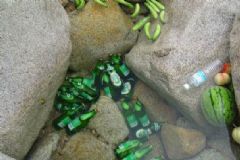 夏天喝啤酒吃什么小菜好?自制下酒菜有哪些注意事項(xiàng)？[圖]