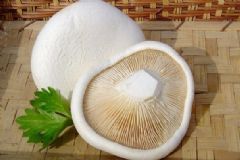 韭菜炒白靈菇的做法？韭菜炒白靈菇怎么做？[圖]