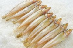 沙丁魚湯的做法是怎樣的？沙丁魚湯怎么做？[圖]