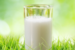 黑豆豆?jié){的做法有哪些？黑豆豆?jié){美味又營養(yǎng)的做法[圖]