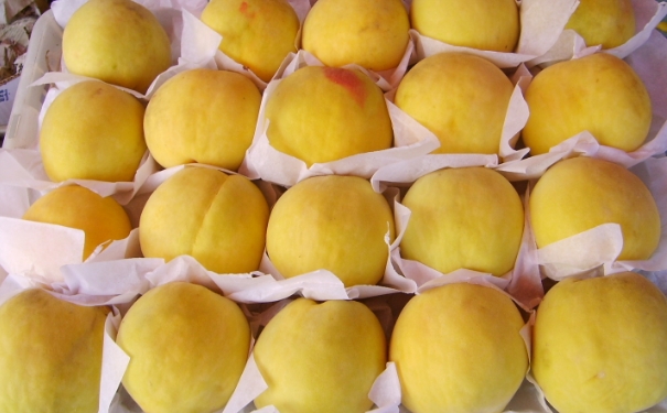 黃桃吃了有什么好處？吃黃桃的好處？(1)
