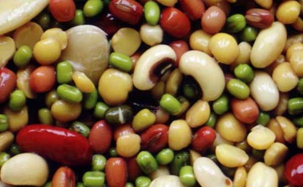 什么食物含蛋白質(zhì)多？什么食物含蛋白質(zhì)最高？(1)