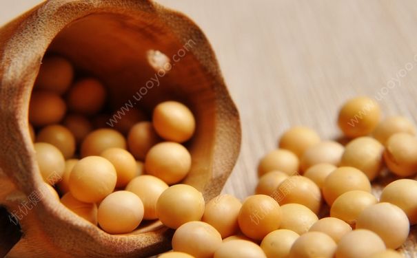 什么食物豐胸效果快？什么食物豐胸效果最好？(1)