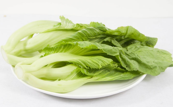 芥菜有什么功效？芥菜的功效與作用及食用方法(1)