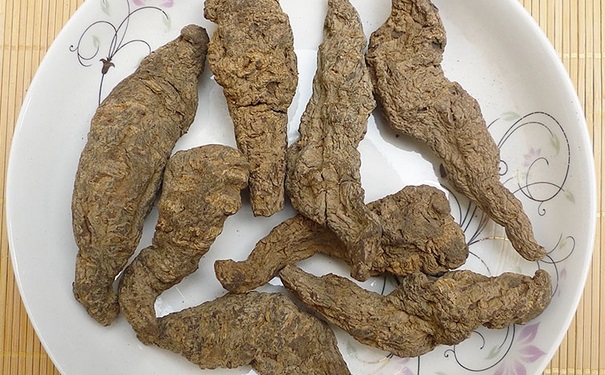 生地黃有什么功效與作用？生地黃有什么食用禁忌？(1)