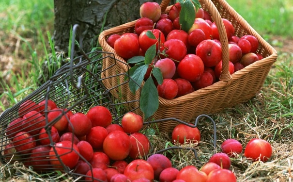 生活中常見的紅色食物有哪些？這些紅色食物有什么營養(yǎng)？(1)