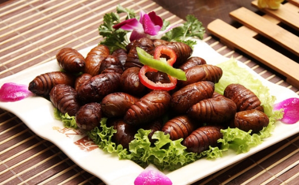 蟬蛹有寄生蟲(chóng)嗎？蟬蛹里面有寄生蟲(chóng)嗎？(1)