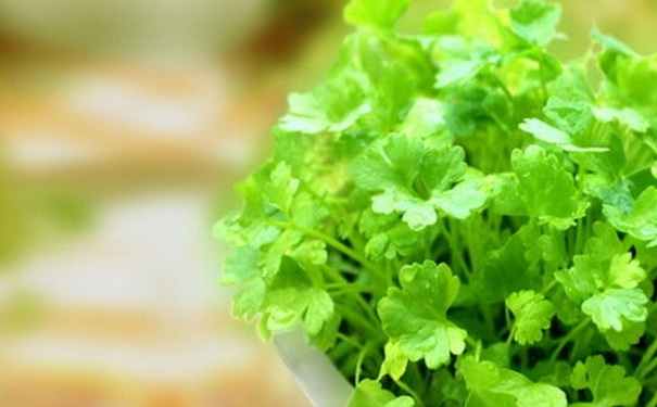 為什么很多人不喜歡吃香菜？哪些人不適合吃香菜？(1)