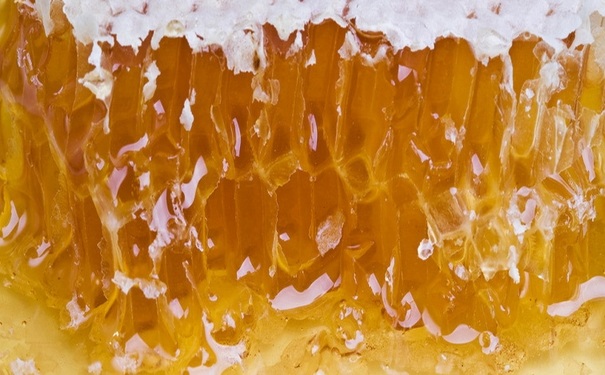 蜂巢蜜比蜂蜜更營養(yǎng)嗎？蜂巢蜜有什么功效和作用嗎？(1)
