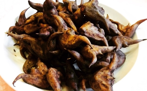菱角成熟是什么時候？什么時候的菱角最好吃？(1)