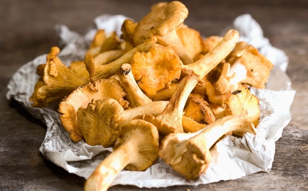 孕婦可以吃雞油菌嗎？孕婦吃雞油菌要注意什么？(1)