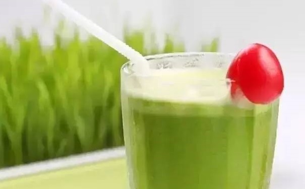 小麥草汁的正確吃法是什么？小麥草汁的營(yíng)養(yǎng)功效有哪些？(1)