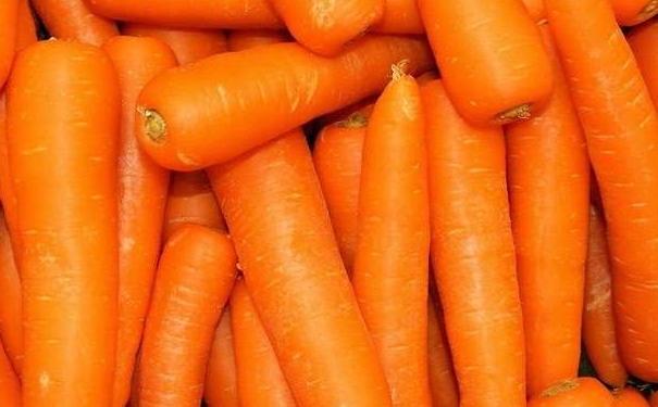 胡蘿卜是感光食物嗎？胡蘿卜是感光蔬菜嗎？(1)