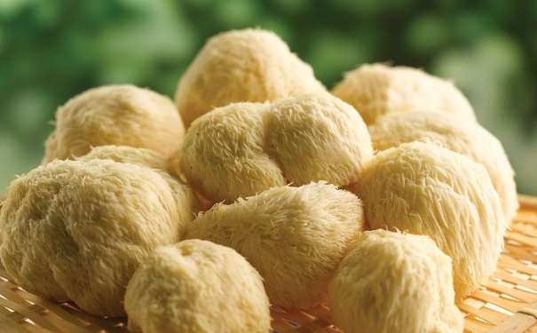 猴頭菇是不是發(fā)物？猴頭菇的食用方法(1)
