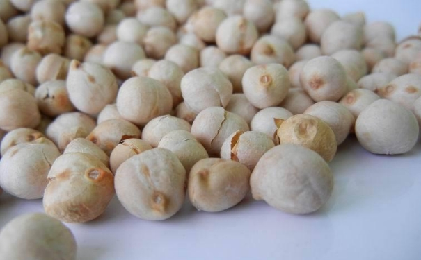 鷹嘴豆兒童可以吃嗎？鷹嘴豆兒童能吃嗎？(1)