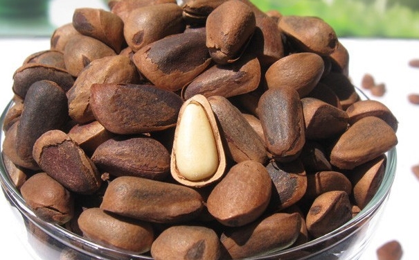 松子和牛奶能一起吃嗎？松子可以和牛奶一起吃嗎？(1)