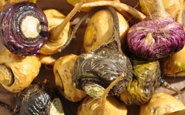 瑪卡該怎么吃？瑪卡的食用方法是什么？(1)