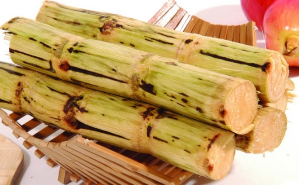 什么時(shí)候的甘蔗最好吃？甘蔗什么時(shí)候成熟？(1)