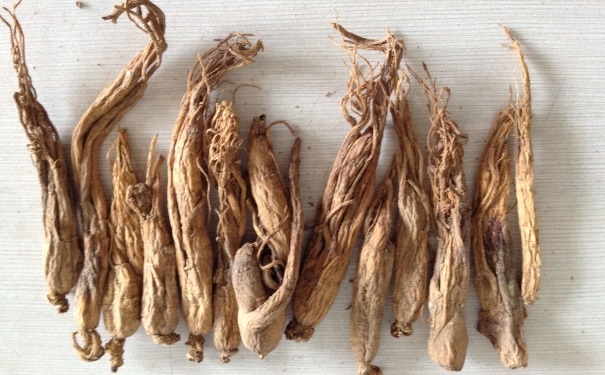 夏天可以吃人參嗎？夏天吃人參有什么好處？(1)