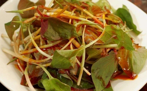魚腥草能治痔瘡嗎？魚腥草可以治痔瘡嗎？(1)