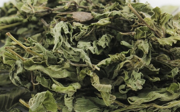 薄荷葉可以生吃嗎？薄荷葉怎么用來做菜？(1)