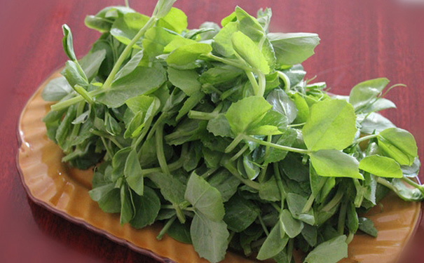豌豆尖的補(bǔ)鈣效果好嗎？吃豌豆尖有什么營(yíng)養(yǎng)價(jià)值？(1)