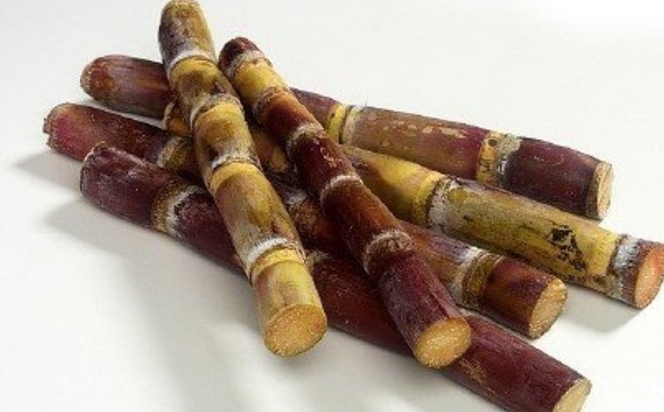 清明甘蔗有毒嗎？清明甘蔗毒過蛇？(1)