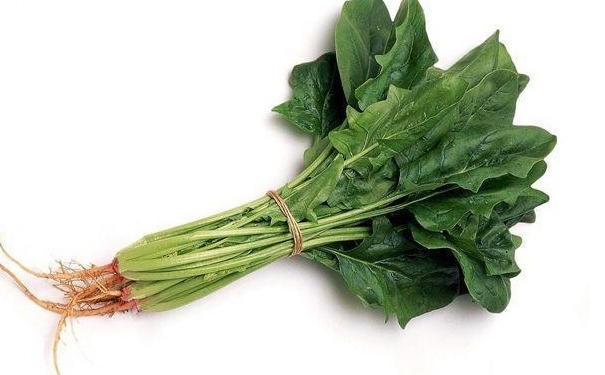 春季吃菠菜好處多？春季吃菠菜有什么禁忌？(1)