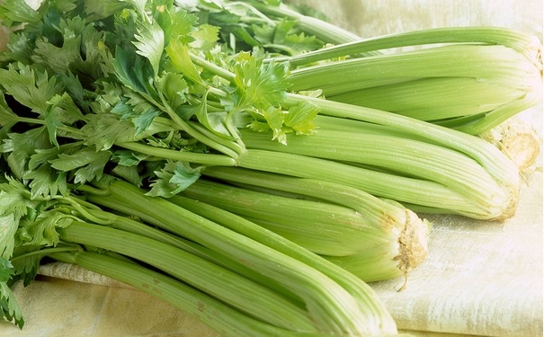 常吃芹菜有哪些好處？芹菜有哪些食療功效？(1)